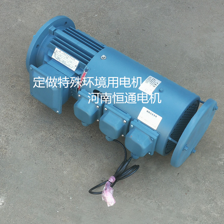 防腐蝕電機(jī) 耐潮濕電動機(jī)